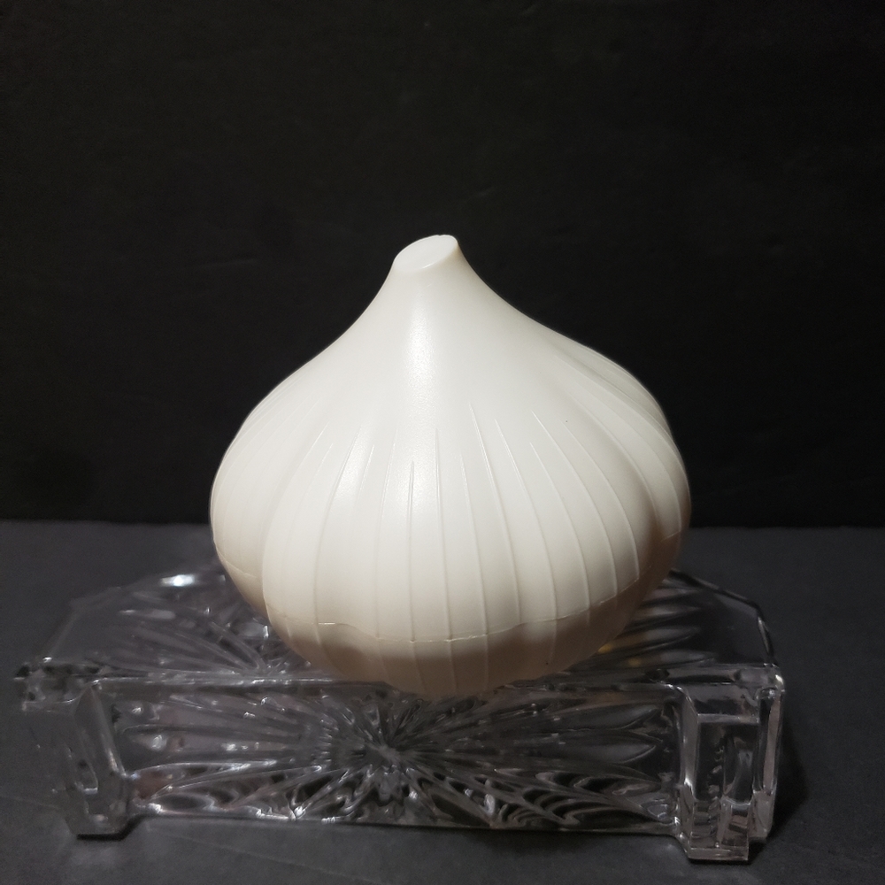 HUTZLER Garlic Saver Keeper Storage Container